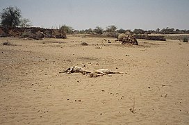 Tawilla in Darfur, Sudan.jpg