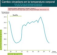 Temperatura corporal en un ciclo de 24 horas.jpg