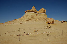 Wadi Al-Hitan