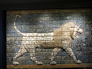 由釉面磚製成的獅子的面板，新巴比倫，公元前 604-562 年