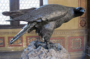Eagle (Florence)