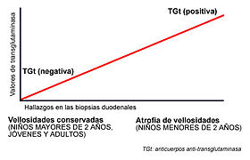 Gráfico EC TGt-vellosidades.jpg