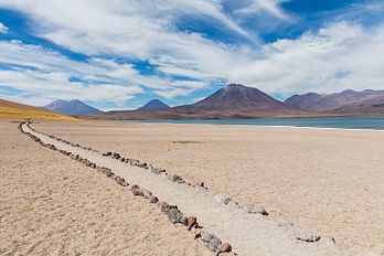 Rivage de la Laguna Miscanti, lac situé sur l'altiplano, au nord du Chili. (définition réelle 8 688 × 5 792)
