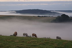 Colmier-le-Bas ê kéng-sek