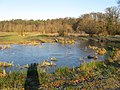 Im Naturschutzgebiet Nordholz