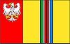 Vlag van Łowicz