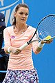 Agnieszka Radwańska 2016-ban három tornagyőzelmet aratott és az Australian Open elődöntőse volt; sorban hatodszor vesz részt az évvégi világbajnokságon, ő a cím védője