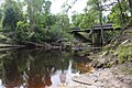 Tree in Alapaha River at Georgia State Route 94 bridge