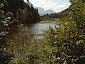 Wiesensee, Blick nach Süden