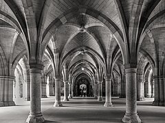 Commended: The Cloisters below Bute Hall, Glasgow University Author: Michael Harris