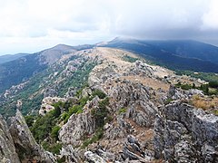 Côté ouest : le puig s'élève à peine au-dessus de la crête principale du massif des Albères, dont il constitue l'extrémité orientale.