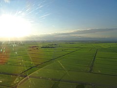 Flugplatz von Casaleggio Novara in Reisfeldern