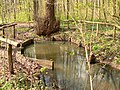 Historische Badestelle Teufelsbad (auch Kopperloch) nahe Heiligers Brunnen