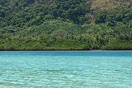 El Nido Bay, Desert tropical island, Coastline, Palawan Island, Philippines.jpg