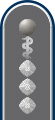 Stabsarzt (Army Staff Doctor, service uniform epaulette)