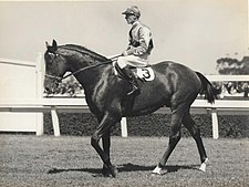 High Caste, 1939, winner