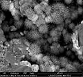 REM-Aufnahme von radialstrahlig-faserigem Kaolinit aus Hot Springs, Plumas County, Kalifornien, USA