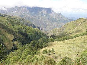 Blick durch eine bewaldete Schlucht in Hatu-Builico auf die Cablac-Berge