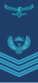 South African Air Force[17]