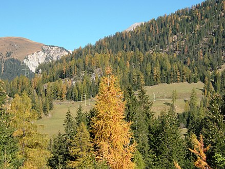 Route after Plaz loop tunnel towards Preda Strecke nach dem Plaz Kehrtunnel Richtung Preda