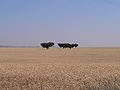 Campos de trigo no Baixo Alentejo.