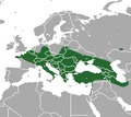 Aire de répartition de la Crocidure leucode