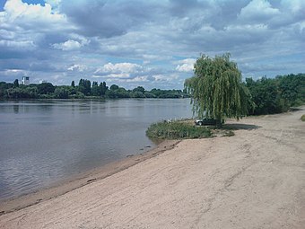 Bords de Loire à Saint-Sébastien-sur-Loire.