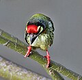 In Kolkata, West Bengal, India