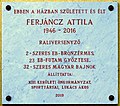 Ferjáncz Attila