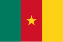 Flagge fan Kameroen