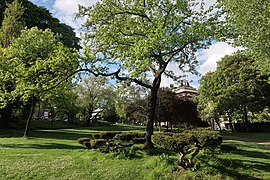 Les jardins en été, côté est.