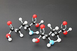 LD-Glutaminsäure 8534.JPG