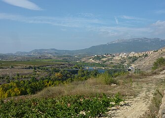 Near Briones, the Río Ebro and in the background the beginning of the Basque Country