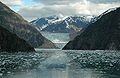 Tracy Arm fjord, Sawyer Glacier