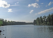 The Willamette near the confluence with the Molalla