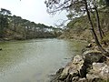 La ria du ruisseau du Pont de Lohac en aval du moulin de Pomper vue depuis sa rive orientale (en Arradon).