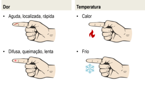 Dor e temperatura.png