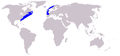 Distribución de la Ballena franca boreal del Atlántico