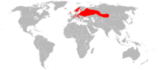 Distribución do C. fiber.