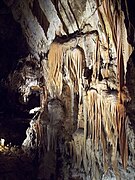 L'interno delle grotte