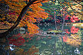 Leaf symbolizes the Japanese sense of the seasons (Kyoto)