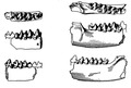 Parte di mandibola di Macrocranion (Entomolestes) nitens.