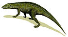Protosuchus richardsoni