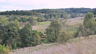 Căinelu de Jos