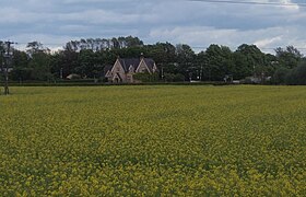 Rape field, Thurgarton - geograph.org.uk - 2409592.jpg