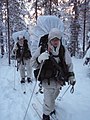 Солдати ЗС Швеції