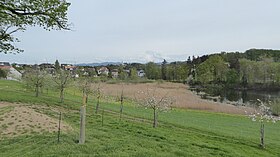 Wilen (Gottshaus), rechts der Horber Weier, einer der fünf im Jahr 1430 angelegten Fischweiher, und im Hintergrund die Kirche St. Pelagiberg