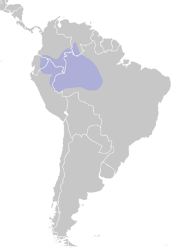 Distribución geográfica del colibrí ígneo.