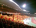 Zij tribune (Galatasaray-PSV)