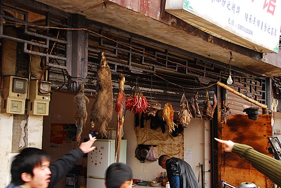 Ye wei (野味 ; lit. «menjar salvatge») en un mercat xinès